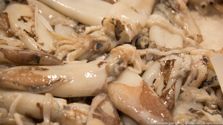 Close-up of pale fresh cephalopods piled together, with tentacles, mottled skin, and dark eyes visible.
