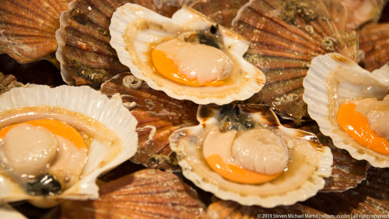 Opened scallop shells with white meat and bright orange roe arranged among darker shells at a seafood market.