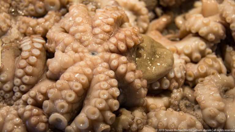 Close-up of fresh octopus piled at a market stall, showing curled arms and rows of pale suction cups.