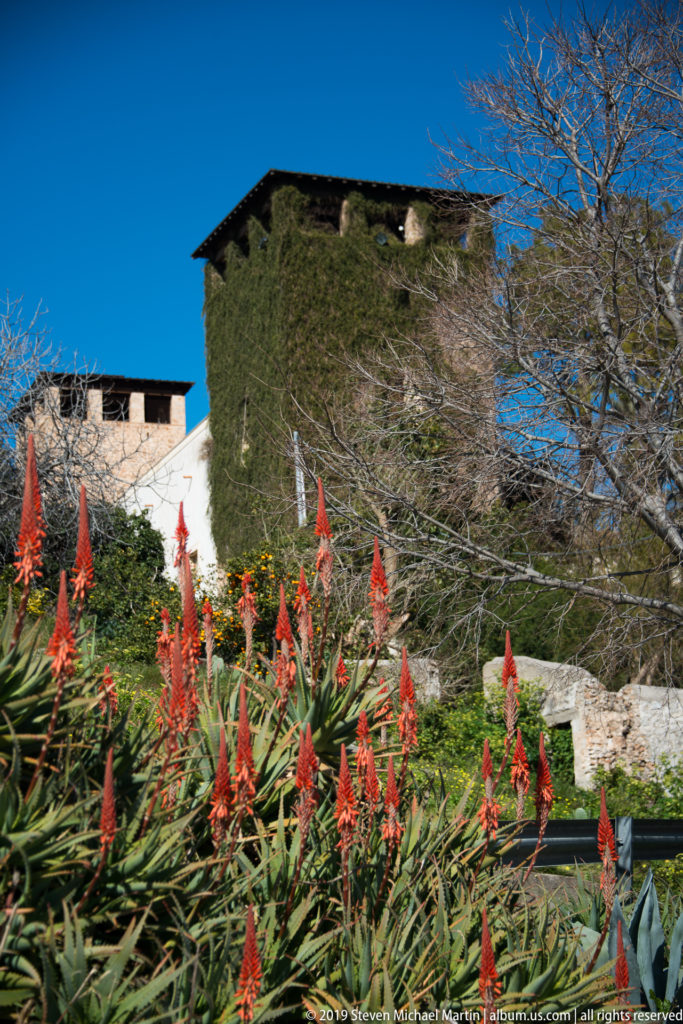Red aloe flower spikes and green leaves stand before a pale stone building and bare tree.