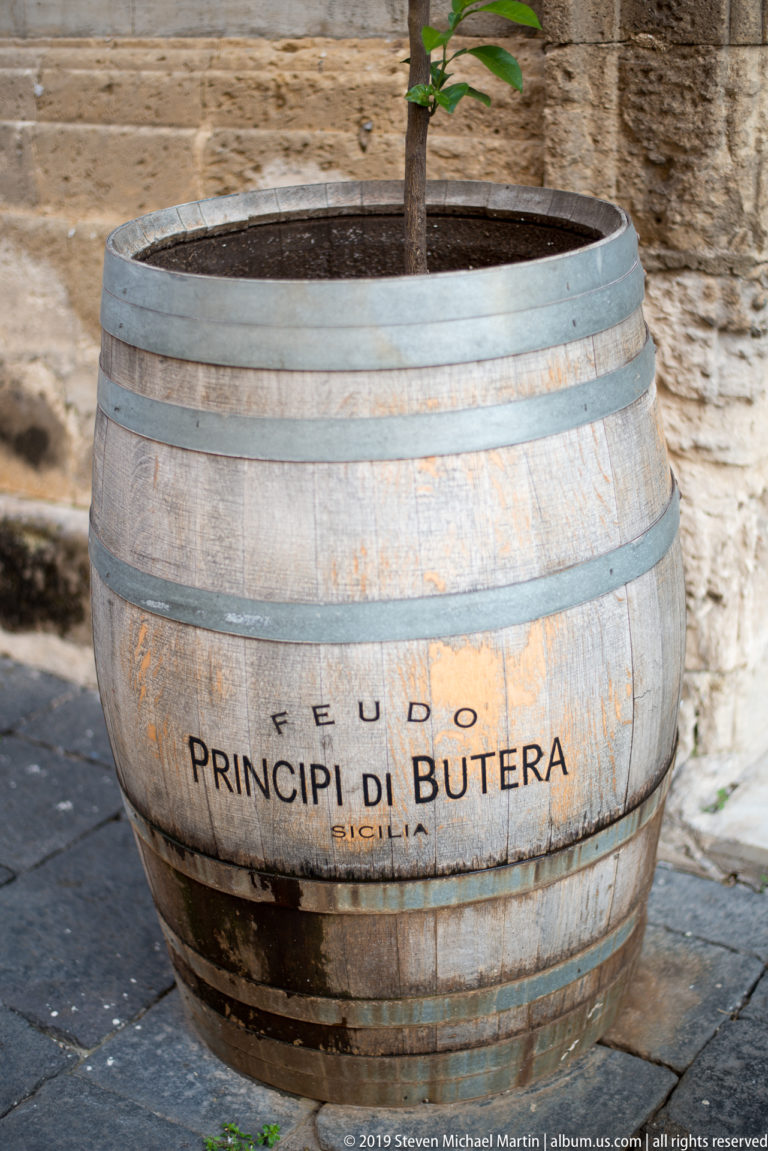Weathered wooden barrel planter with metal hoops and the words “Feudo Principi di Butera,” holding a small tree.