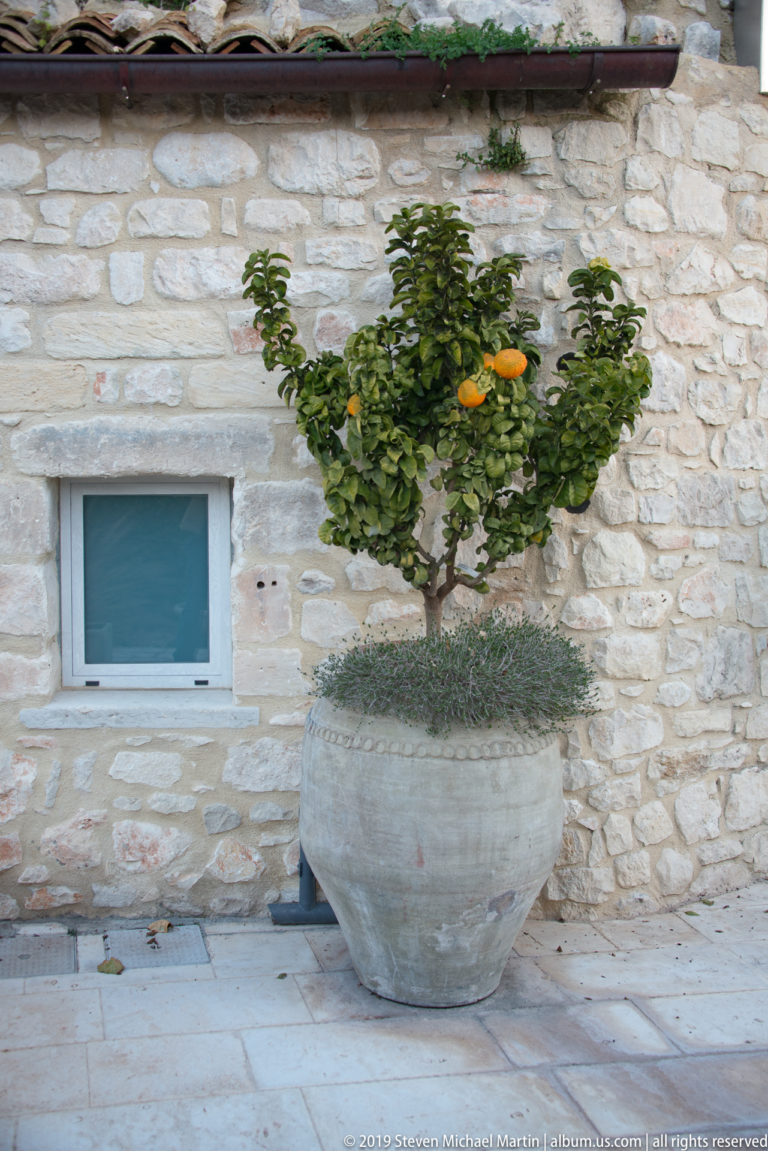 Small fruiting citrus tree in a large weathered stone planter beside a pale limestone wall and low rectangular window.