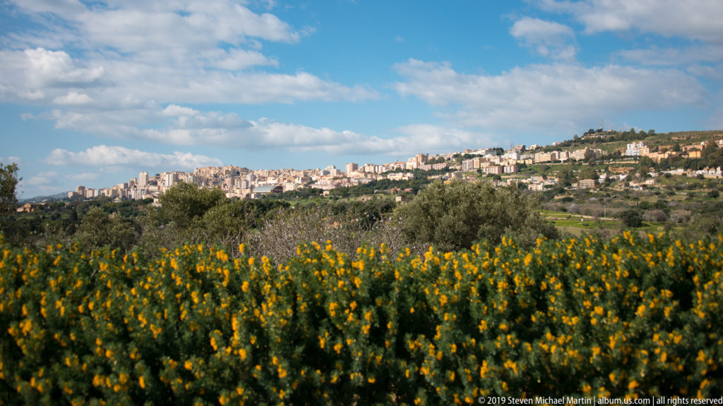 Hilltop city of Agrigento beyond olive trees and a broad foreground filled with yellow flowers.