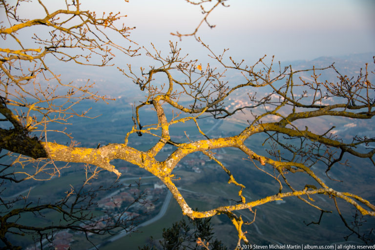 Sunlit bare tree branches with yellow-green lichen crossing a hazy valley and road network far below.