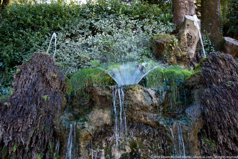 Small fan-shaped fountain spray over mossy rockwork among dense shrubs and tree trunks.