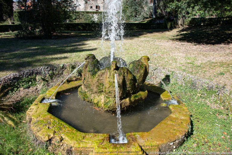 Moss-covered animal-shaped fountain in a shallow stone basin with a vertical water jet.