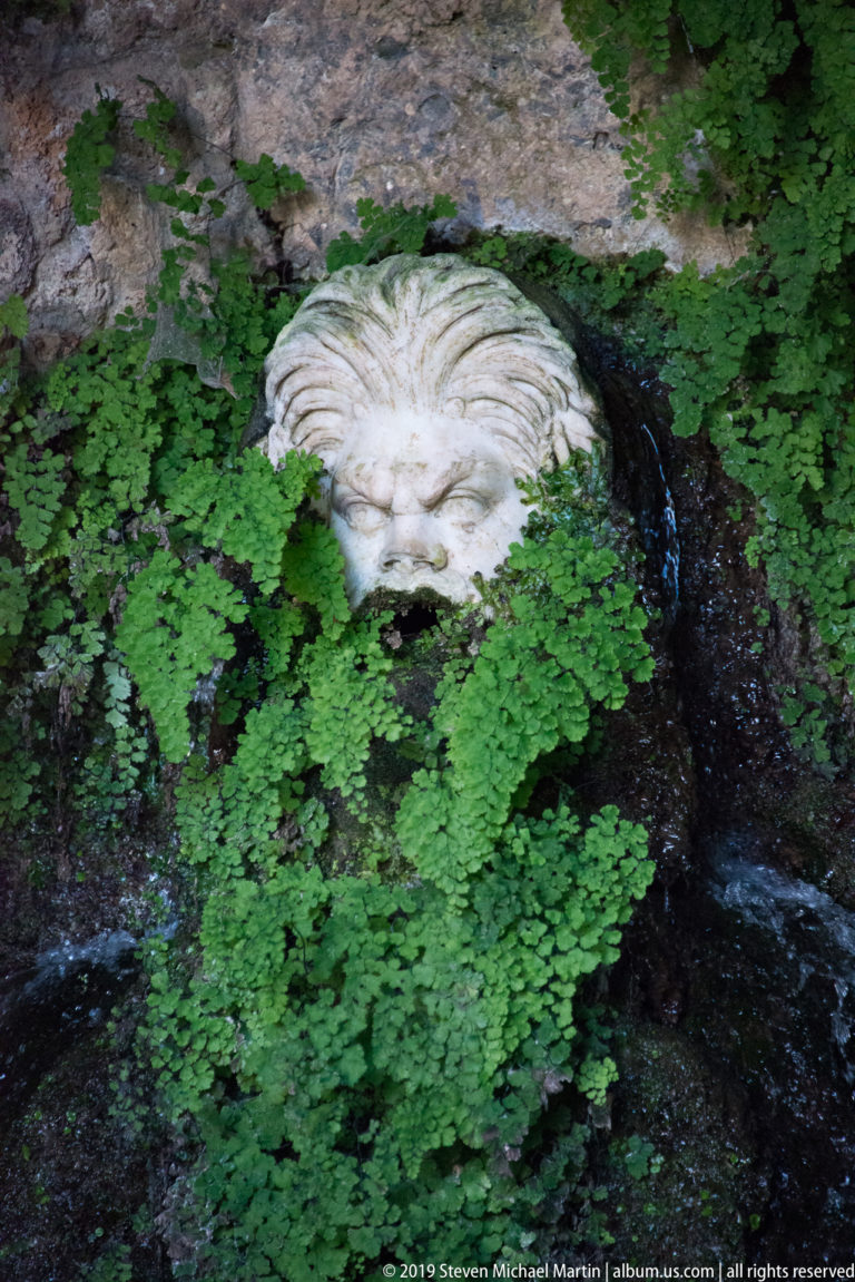 Large pale stone face set low in a shaded, wet garden surface and surrounded by dense green foliage.