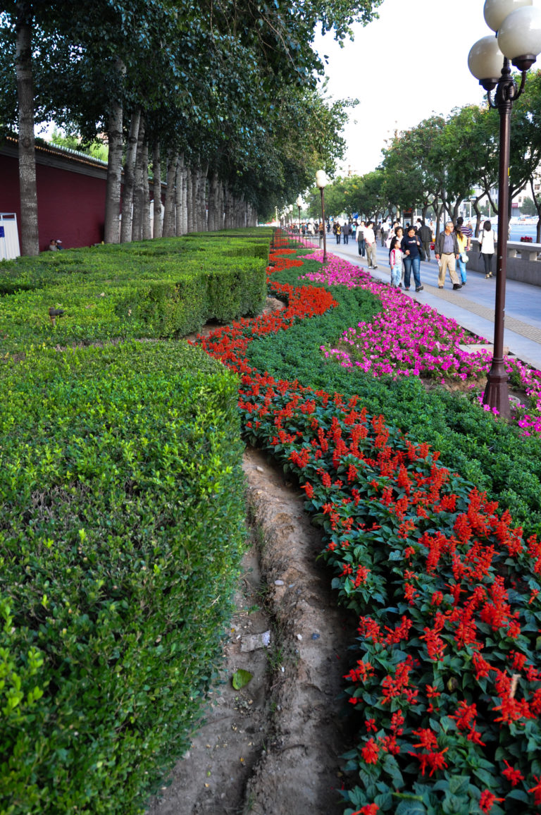 Curving red and pink flower beds beside a narrow path, trees, globe lamps, and pedestrians along a Beijing street.