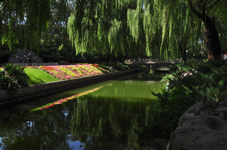 Willow-lined canal in a Beijing park with a bright flower bed along the opposite bank.