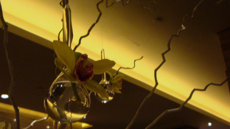 Suspended spherical glass vases holding an orchid and branches silhouetted against warm interior lighting.