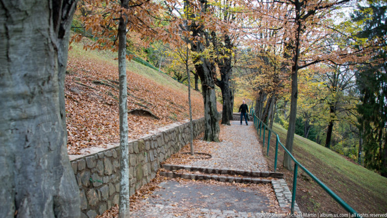 Leaf-covered pedestrian path with steps, stone retaining wall, railing, trees, and a lone walker on Schlossberg.