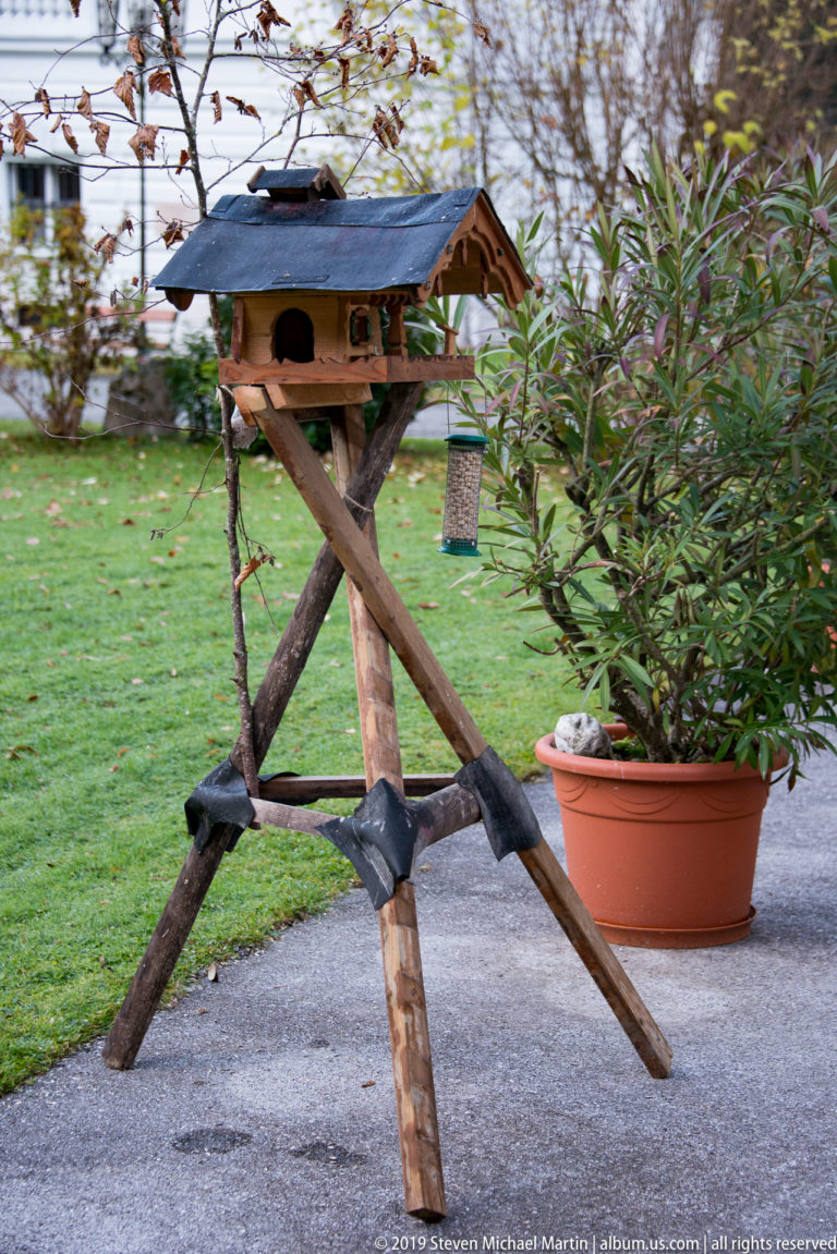 Small roofed wooden bird feeder raised on crossed branch supports beside lawn, shrub, and hanging feeders.