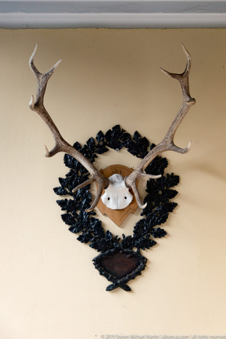 Wall-mounted antlers arranged symmetrically around a small central trophy mount with dark decorative foliage.