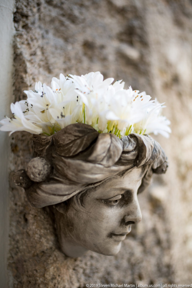 Profile of a weathered classical-style stone head used as a planter, crowned with white daisy-like flowers.