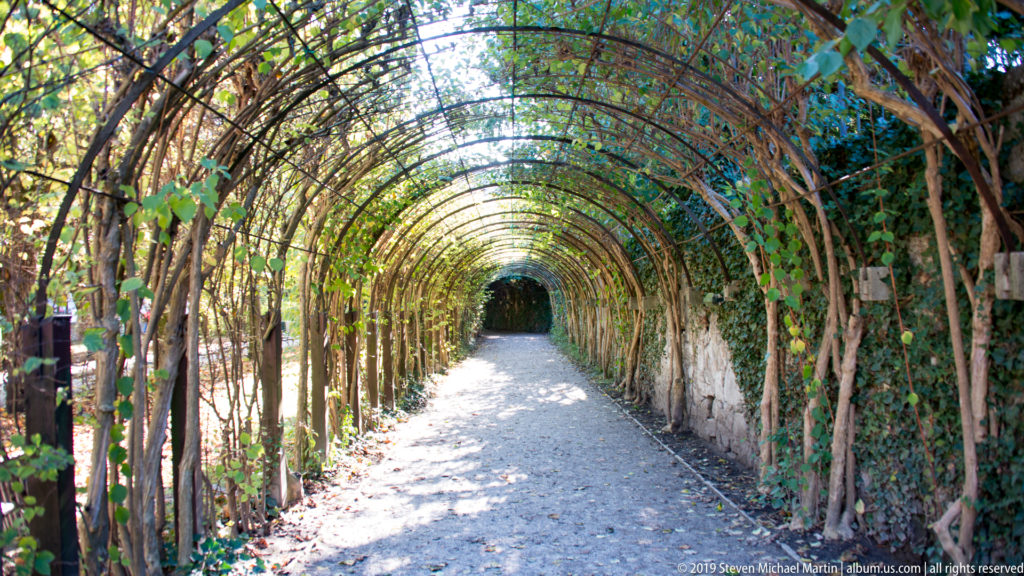 Long arched garden tunnel formed by trained branches over a gravel path, with sunlight filtering through autumn foliage.