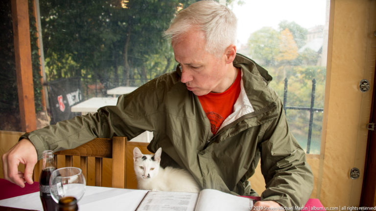 Man looking down toward a white cat beside him at a restaurant table, with glasses and menus in front.