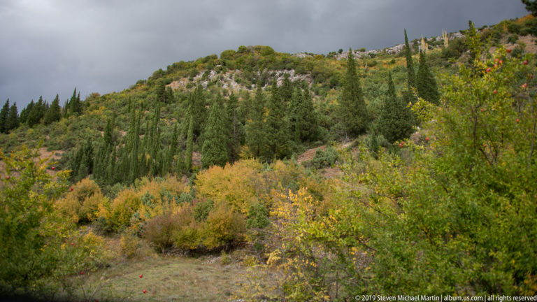 Rocky hillside covered with mixed green and autumn-colored scrub, scattered trees, and exposed pale limestone.