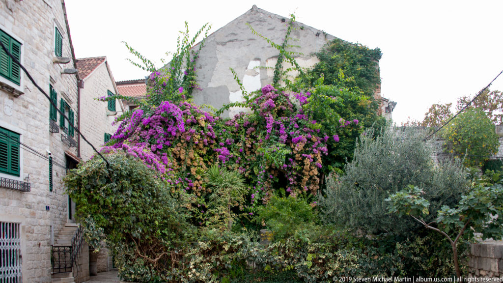 Purple bougainvillea and dense greenery growing between old stone houses with shutters, tiled roofs, and weathered walls.