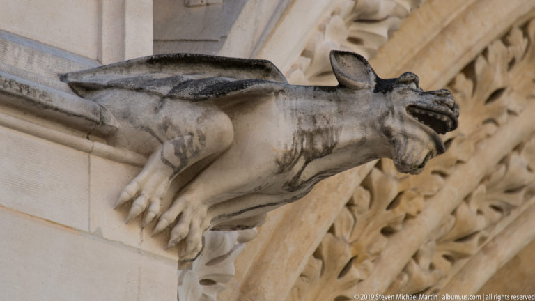 Stone animal gargoyle with open mouth projects from ornate Gothic masonry, with dark weathering streaks beneath its body.