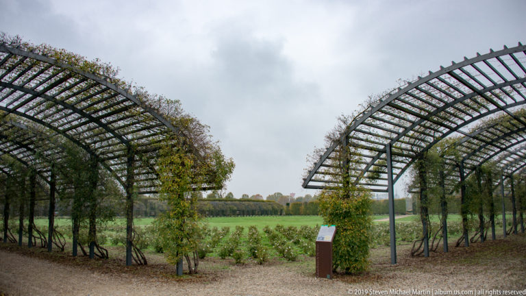Curved metal garden trellises with climbing plants forming an open passage beside beds and gravel paths.