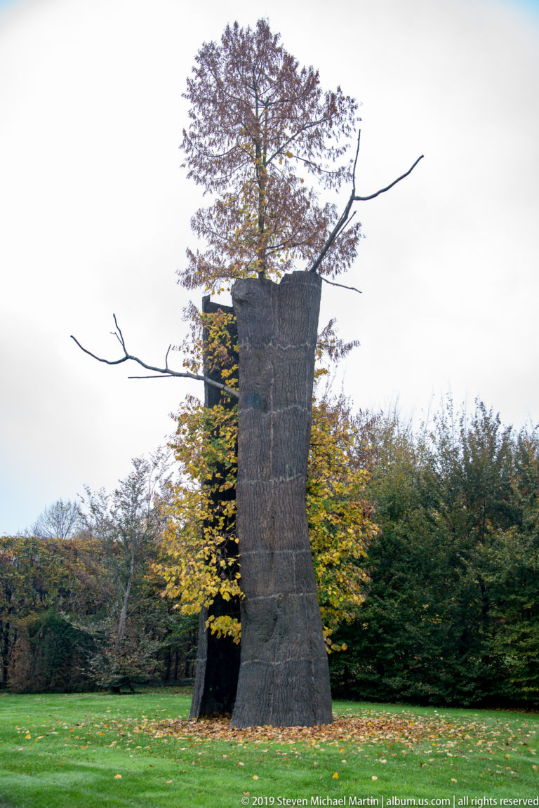 Giuseppe Penone’s Tra scorza e scorza, two tall bronze bark shells enclosing a living tree in the Garden of Fluid Sculptures.