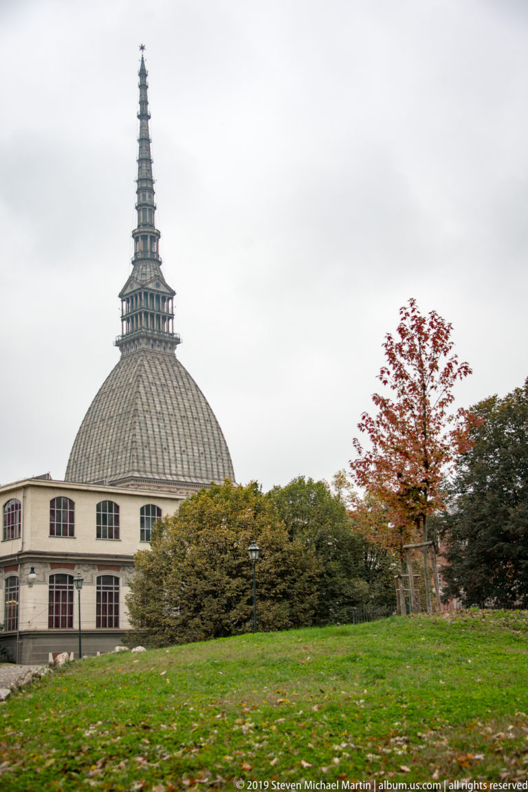 Mole Antonelliana dome and spire rising behind trees and a broad grassy slope under an overcast sky.