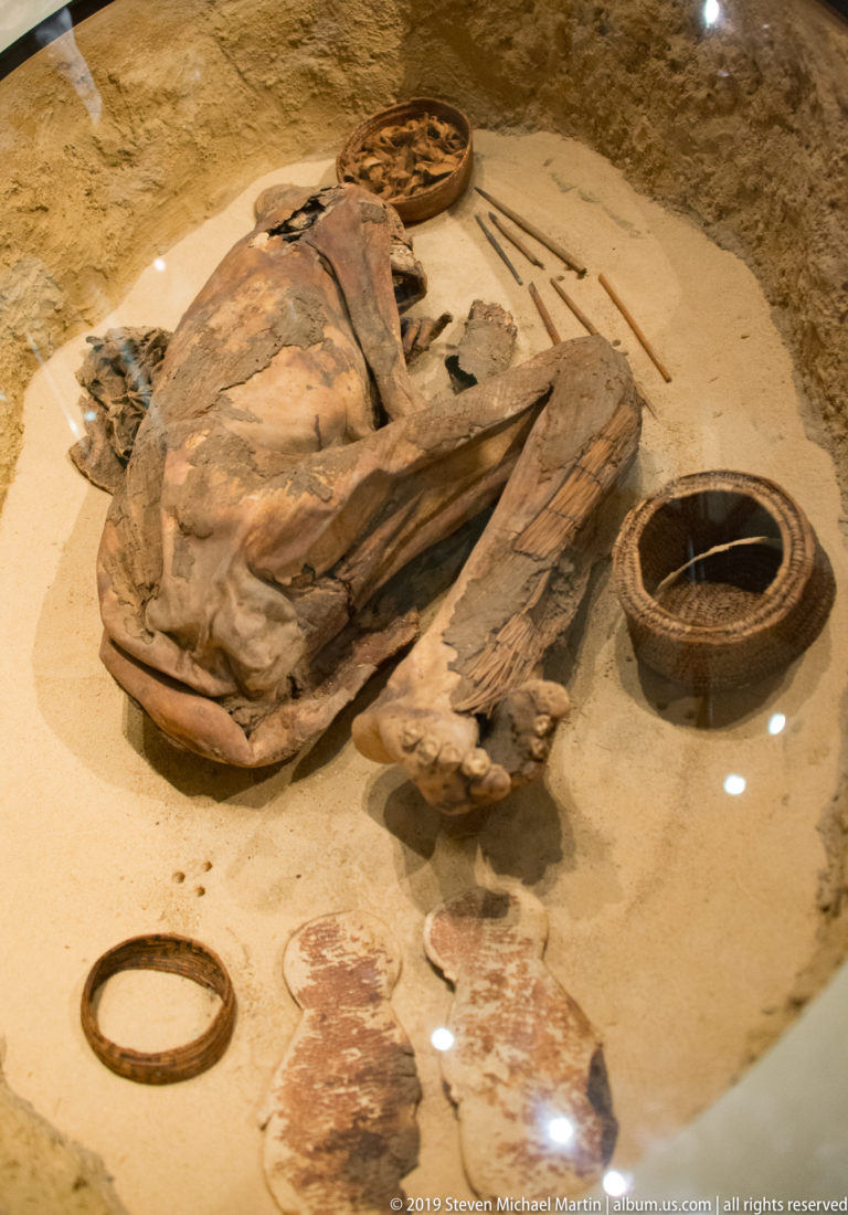 Oblique view of a contracted human burial with folded legs, preserved torso, circular basket, and long grave goods beside the body.