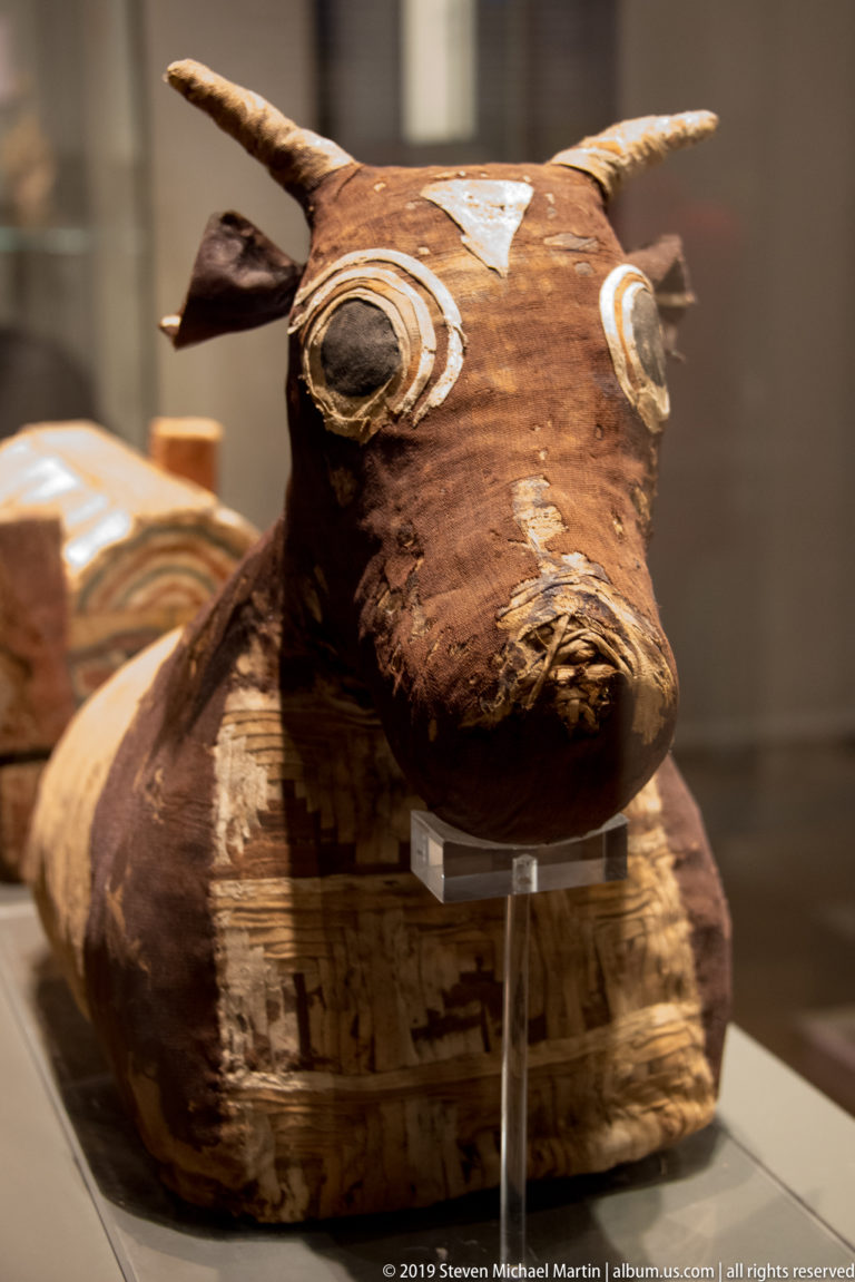 Front view of a bovine mummy head with short horns, large painted eyes, brown preserved skin, and wrapped body behind.