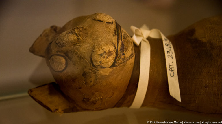 Close view of a small animal mummy with exposed head, wrapped body, rounded eye areas, and a catalogue tag at the neck.