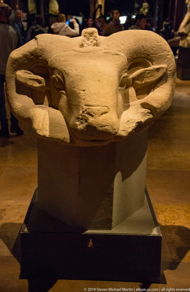 Profile of a sandstone Amun criosphinx head with a large curled horn, elongated muzzle, and broken neck block.
