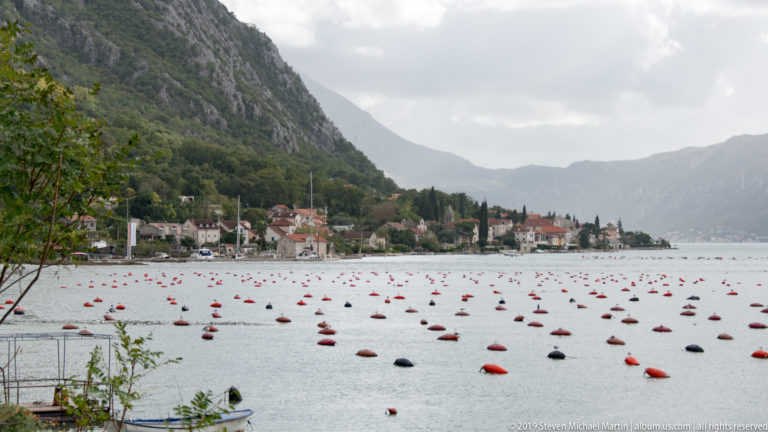 Dense red and dark aquaculture buoys across calm water beside a village at the base of steep Bay of Kotor mountains.