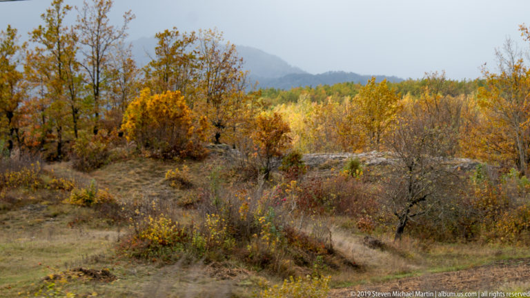 Open grassy hillside dotted with yellow and orange autumn trees, with a hazy mountain in the distance.