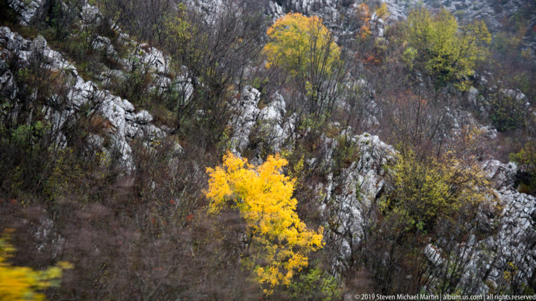 Bright yellow autumn tree among gray limestone outcrops, brown scrub, and sparse woodland on a rocky Montenegrin hillside.