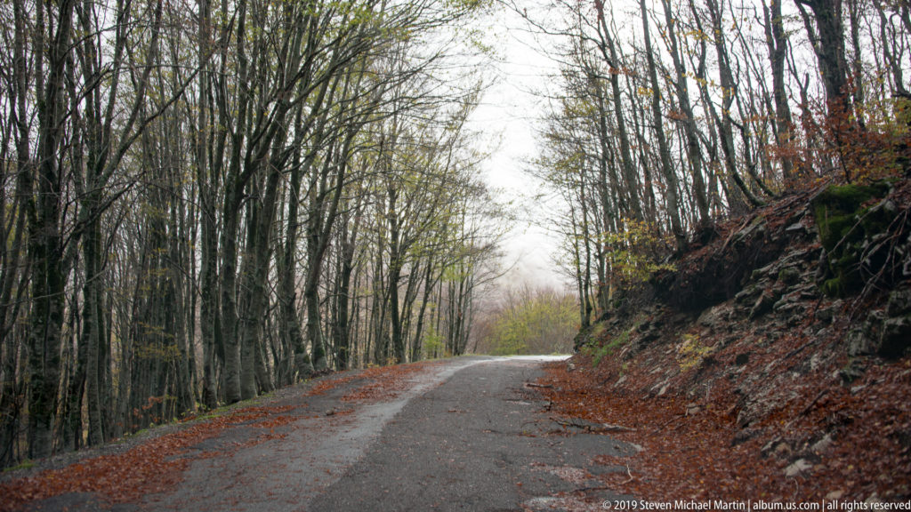 Narrow paved road curves through a quiet autumn deciduous forest with fallen leaves on Lovćen, Montenegro.