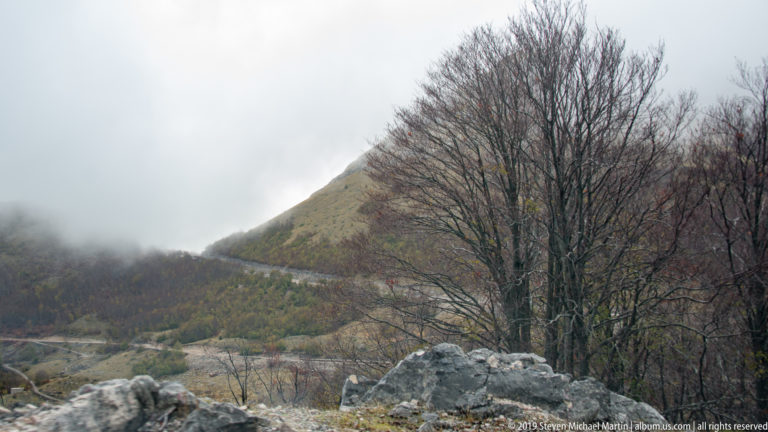 Large leafless tree before a mist-covered mountain slope with exposed rock and a winding road below.