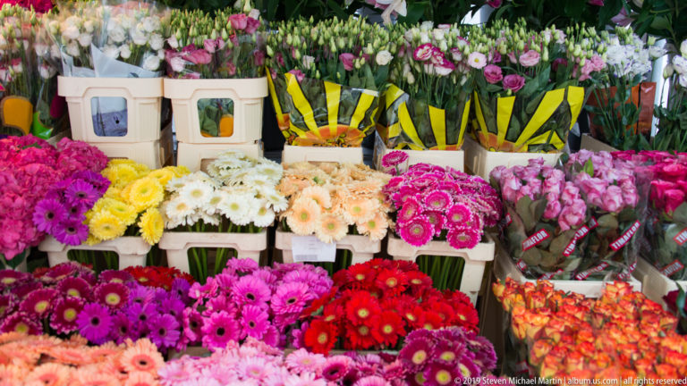Market display of gerberas and mixed cut flowers arranged in bright rows of pink, red, white, peach, and yellow.