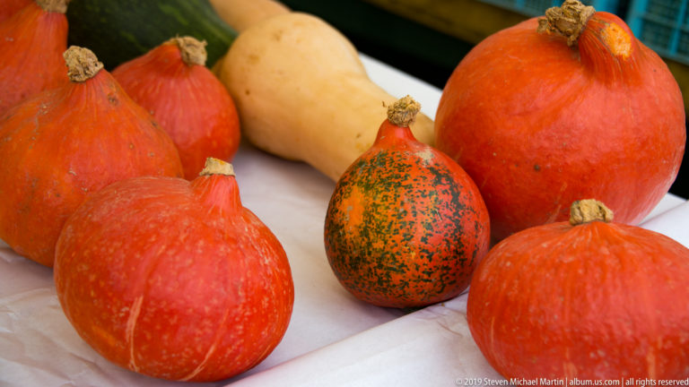 Assorted red-orange winter squash, a pale butternut squash, and a speckled gourd arranged on a market table.