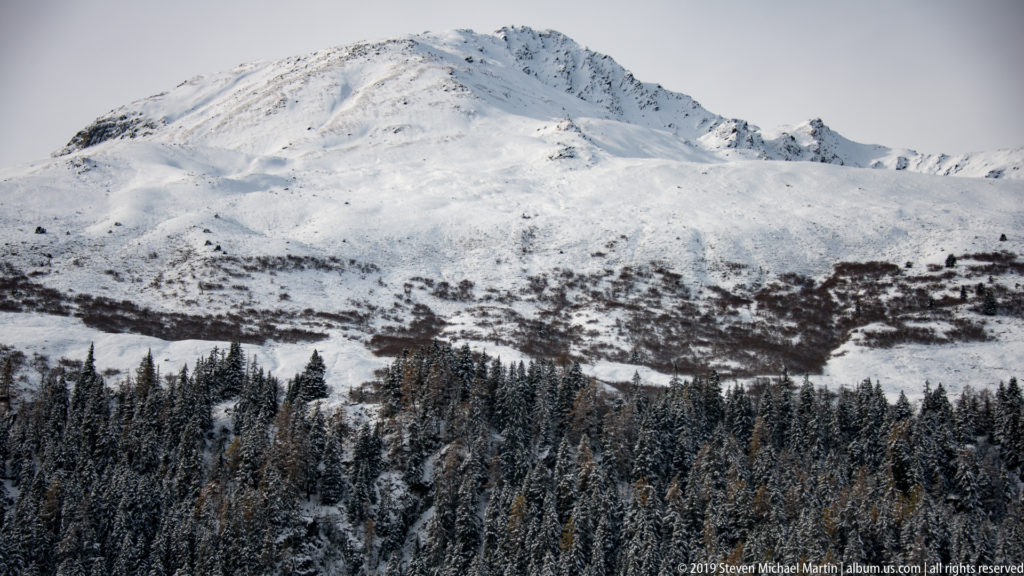 Snow-covered Alpine ridge above a dense dark conifer forest, with exposed rock and rolling white slopes.