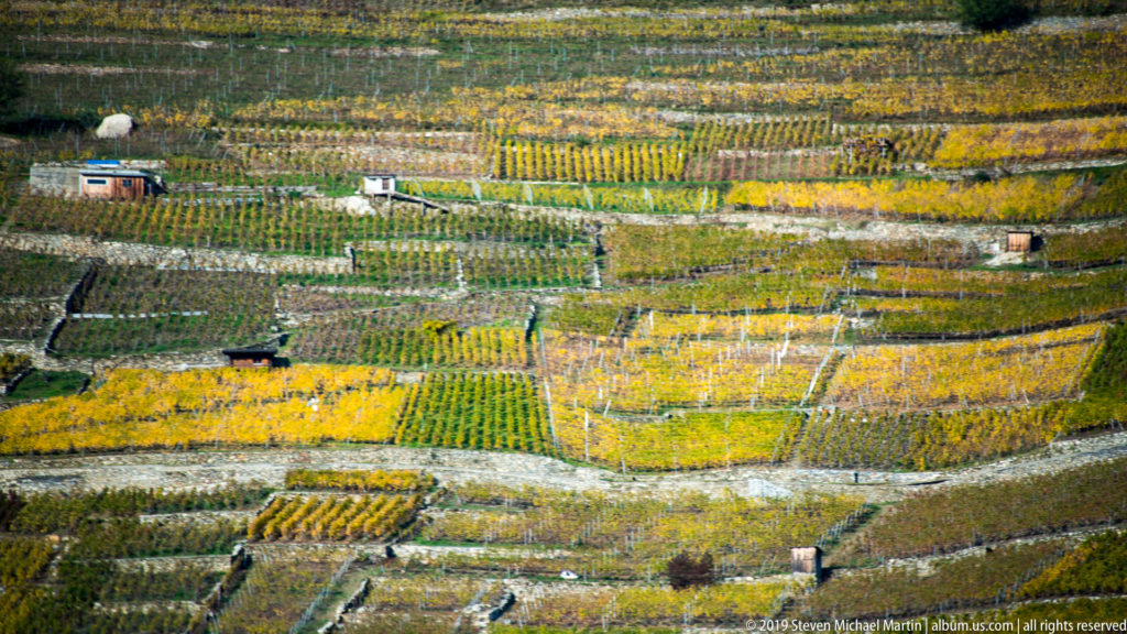 Patchwork vineyard parcels cover a hillside near Martigny, with green and yellow vine rows, retaining walls, tracks, and small structures.