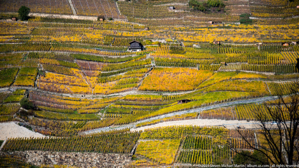 Autumn vineyard terraces curve across a steep hillside near Martigny, with stone walls, tracks, and a small dark-roofed structure.