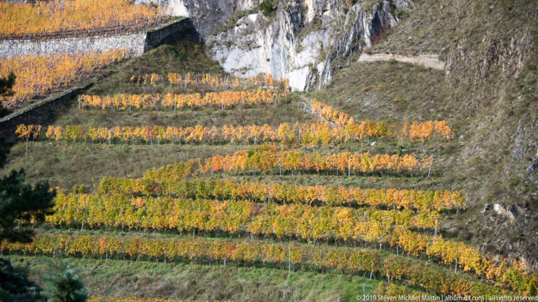 Bands of yellow and orange vineyard rows terraced across a steep rocky hillside with stone retaining walls.