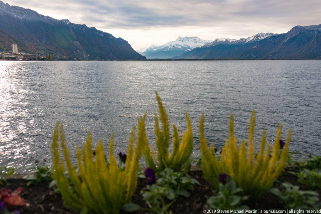 Wide Lake Geneva panorama toward distant snow-covered mountains, with yellow waterfront plants in the foreground.