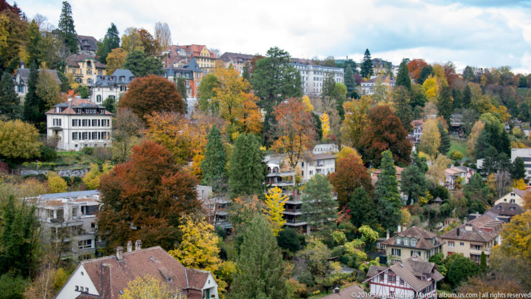 Autumn-colored hillside in Bern with houses and apartment buildings among dense trees.