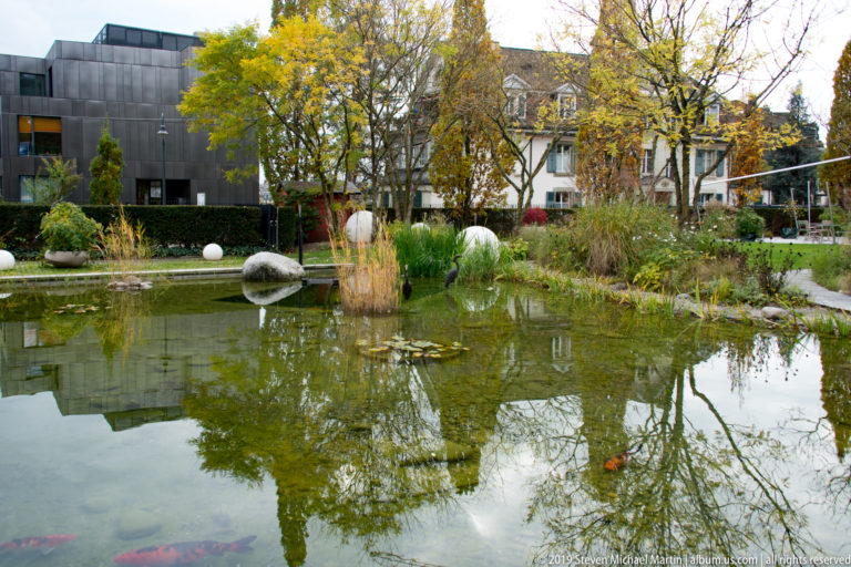 Landscaped pond with reeds, rocks, and autumn trees reflecting in the water in Bern.