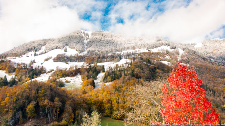 Bright red autumn tree in front of a snow-dusted mountainside with golden forest and broken cloud.