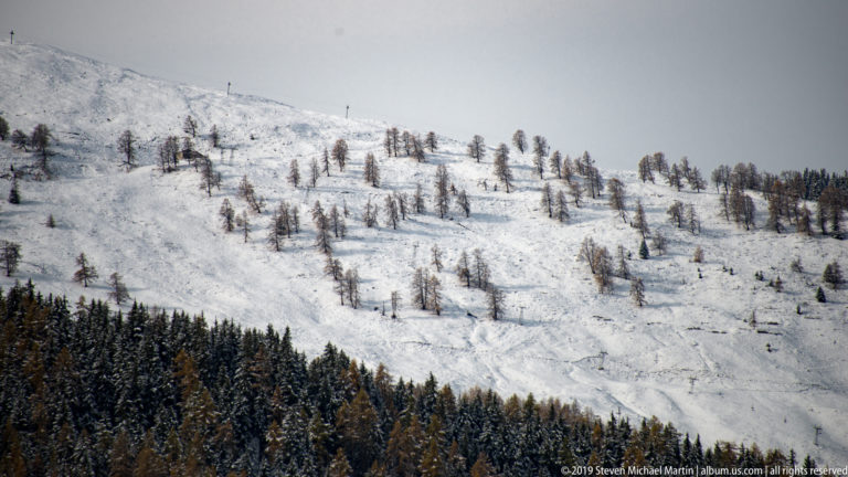 Sparse larch trees scattered across a snowy hillside above a dense dark conifer forest.
