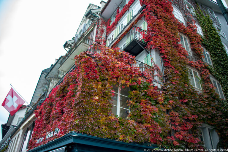 Multistory Lucerne building covered in red and green autumn vines, with balconies, windows, and a Swiss flag.