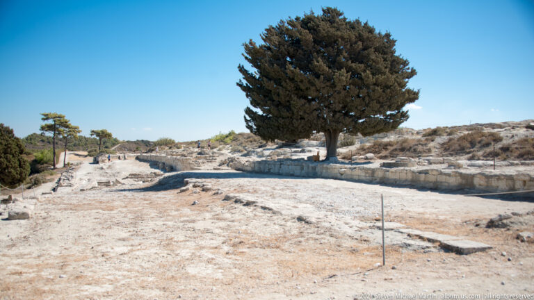 Open archaeological terrace bordered by a long stone wall, with a large evergreen tree and low foundations on the hillside.