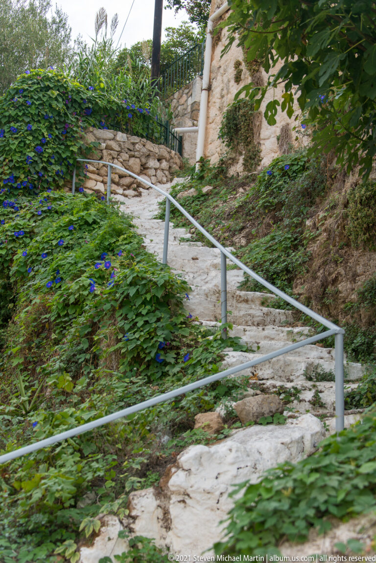 Stone steps with metal handrail climbing a shaded, densely planted slope in Assos.