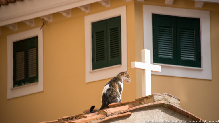 Tabby-and-white cat sitting beside a white cross on a red-tiled roof, with green shutters behind.